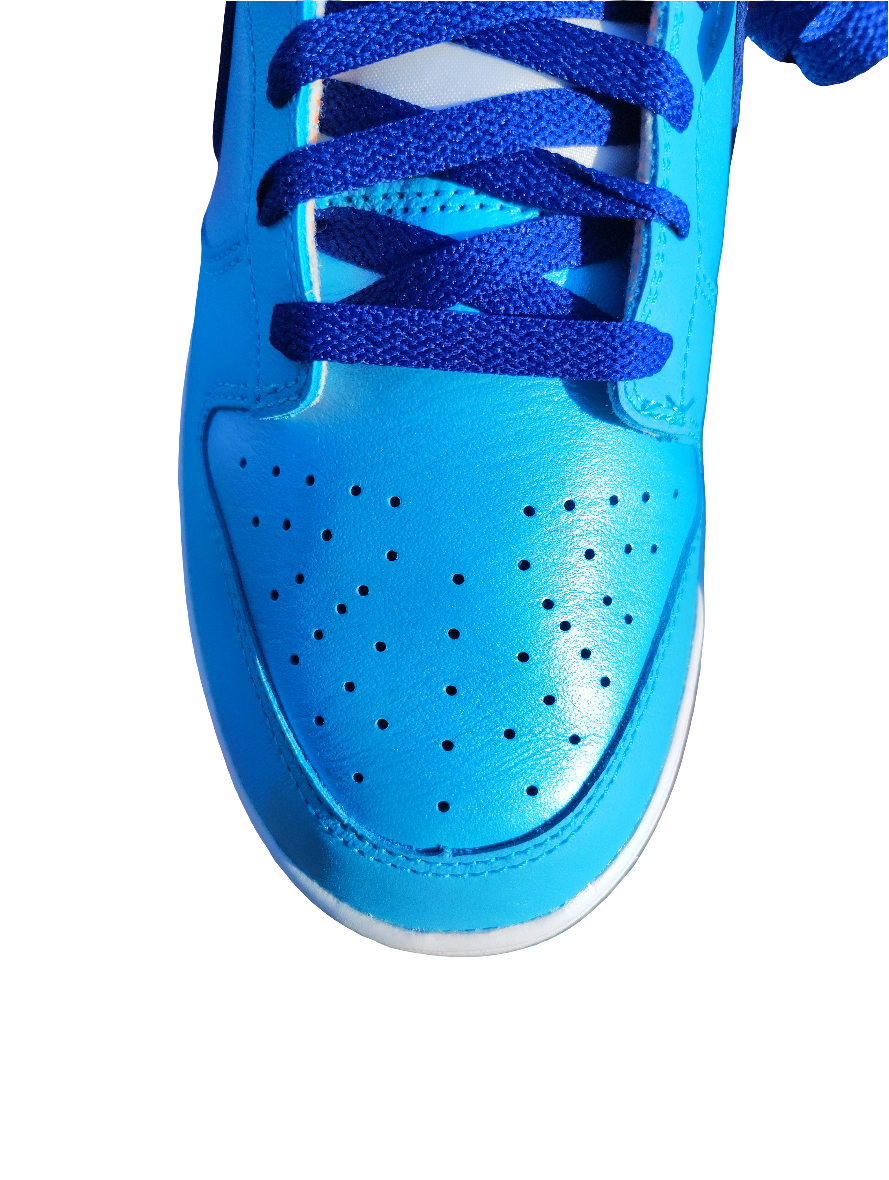 Nike Dunks low se