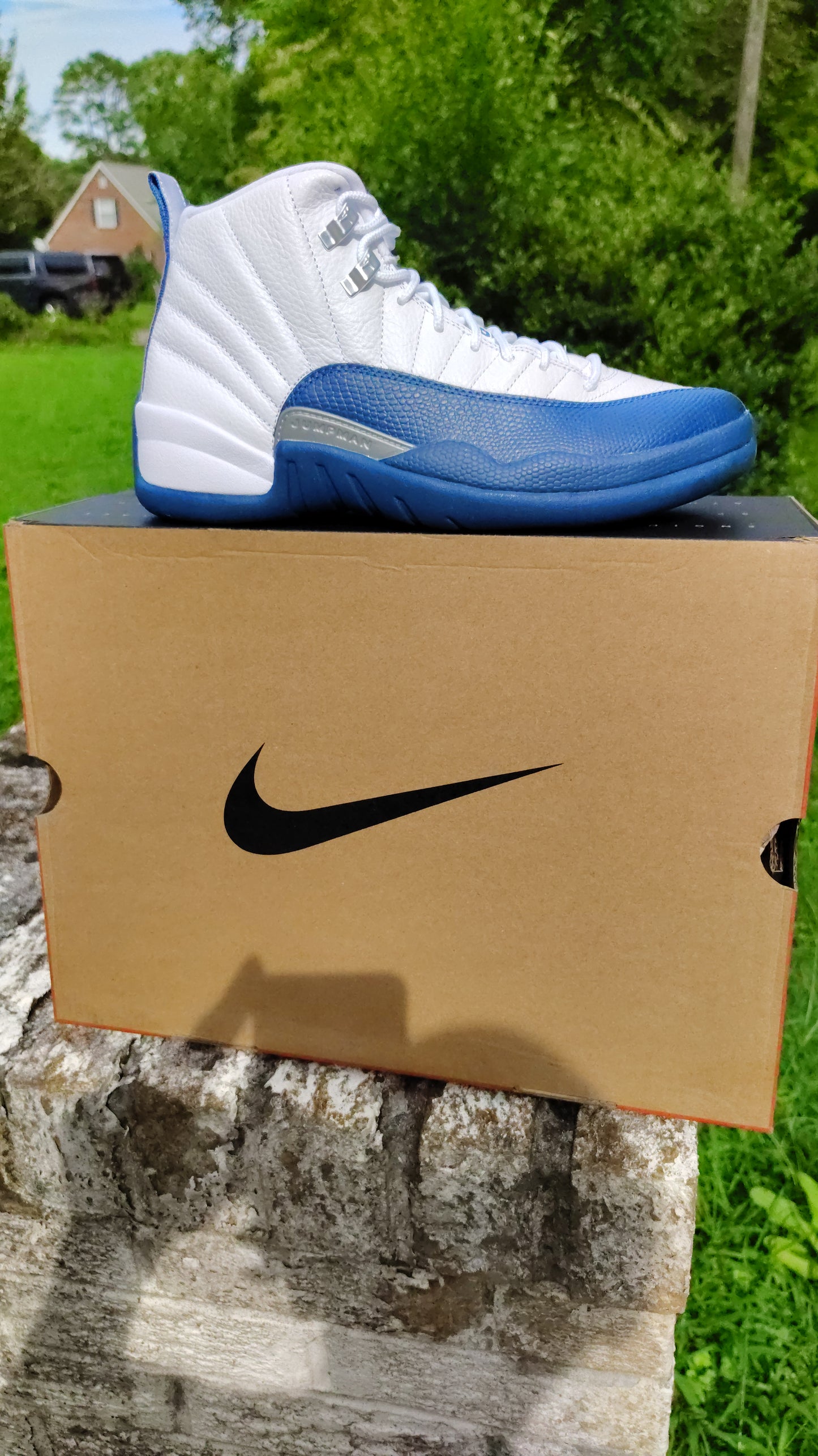 Jordan Retro 12 French blue
