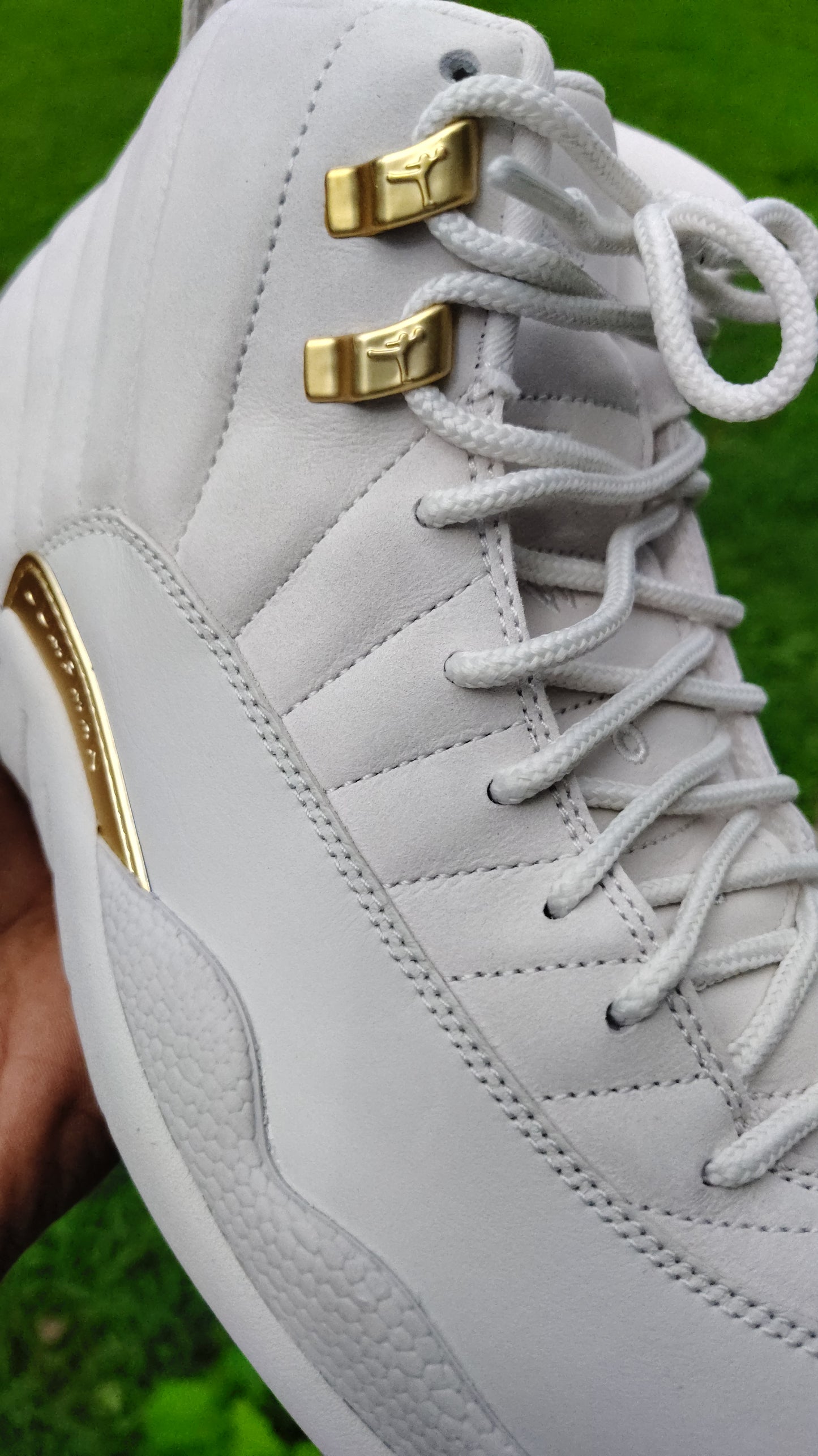 Jordan Retro 12 phantom