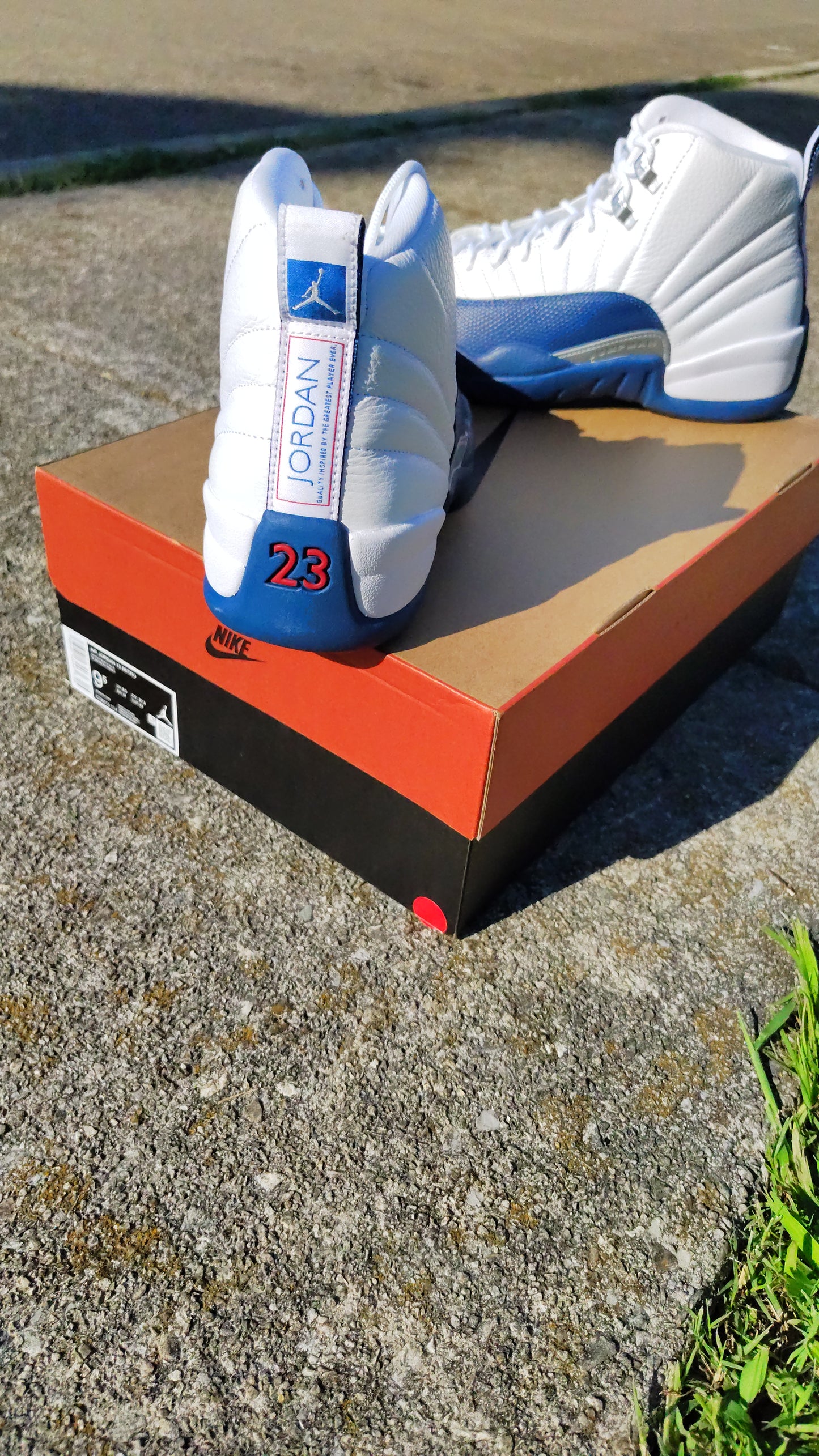 Jordan Retro 12 French blue