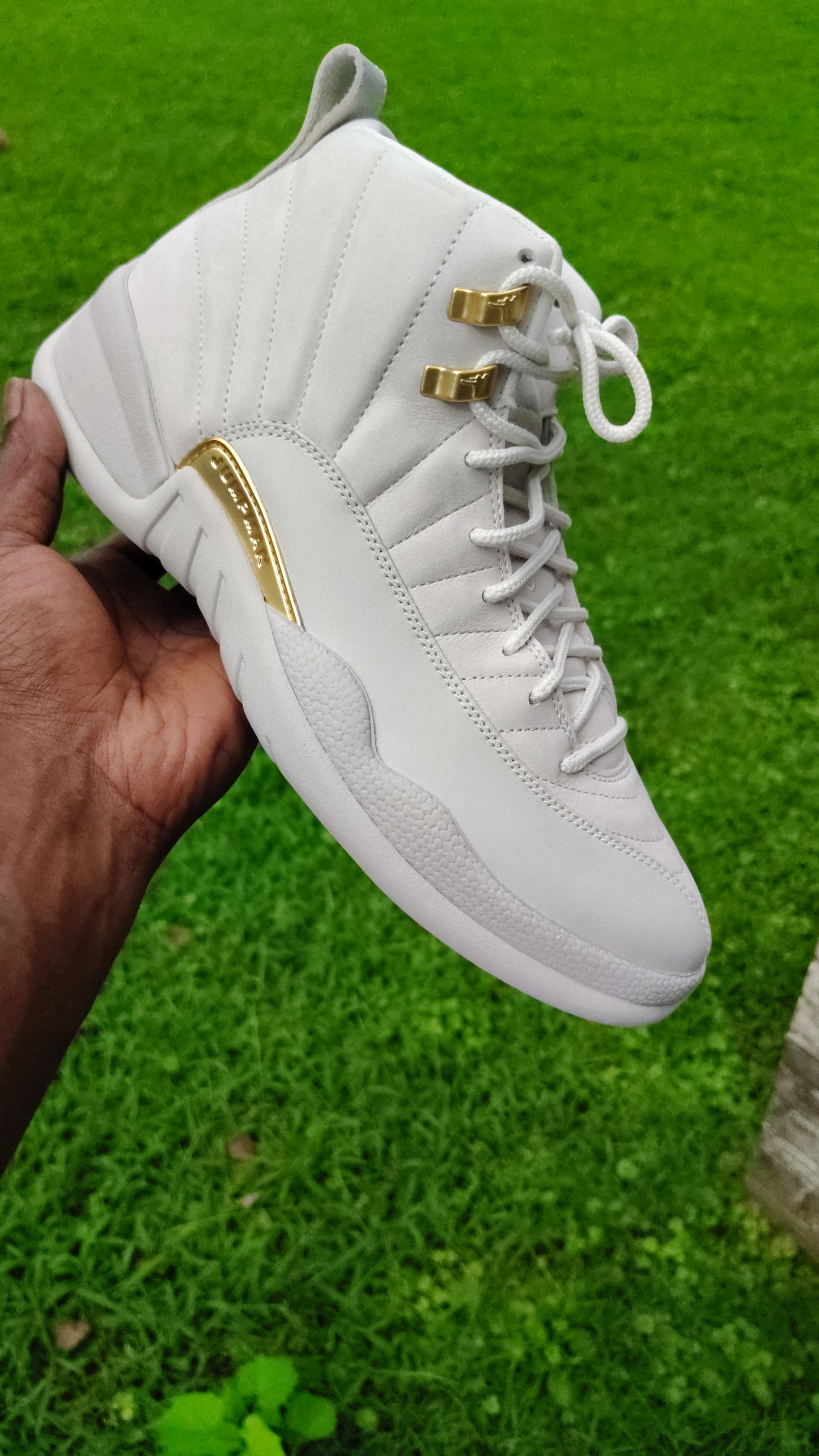 Jordan Retro 12 phantom