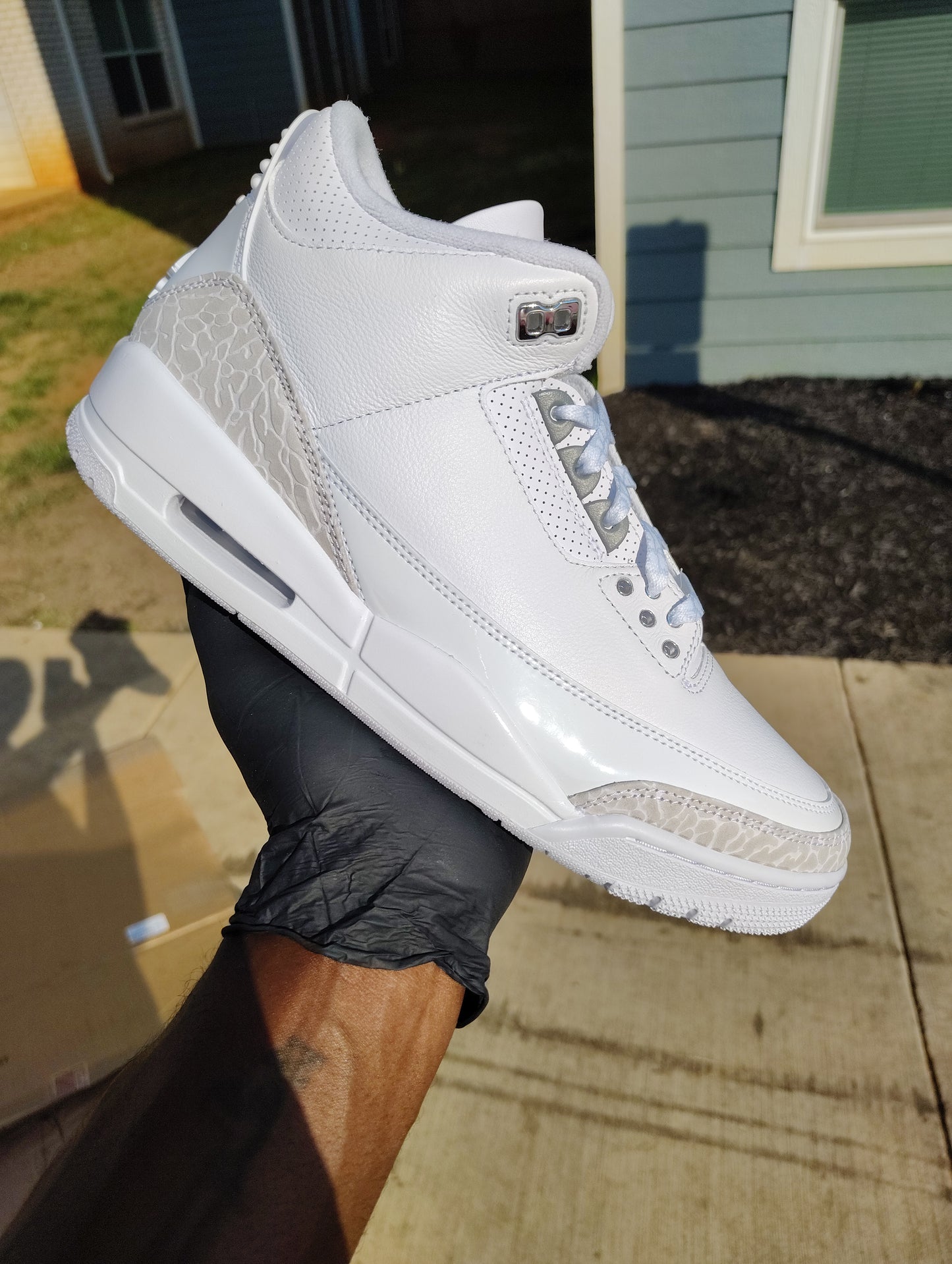 Air Jordan Retro 3 ( pure money