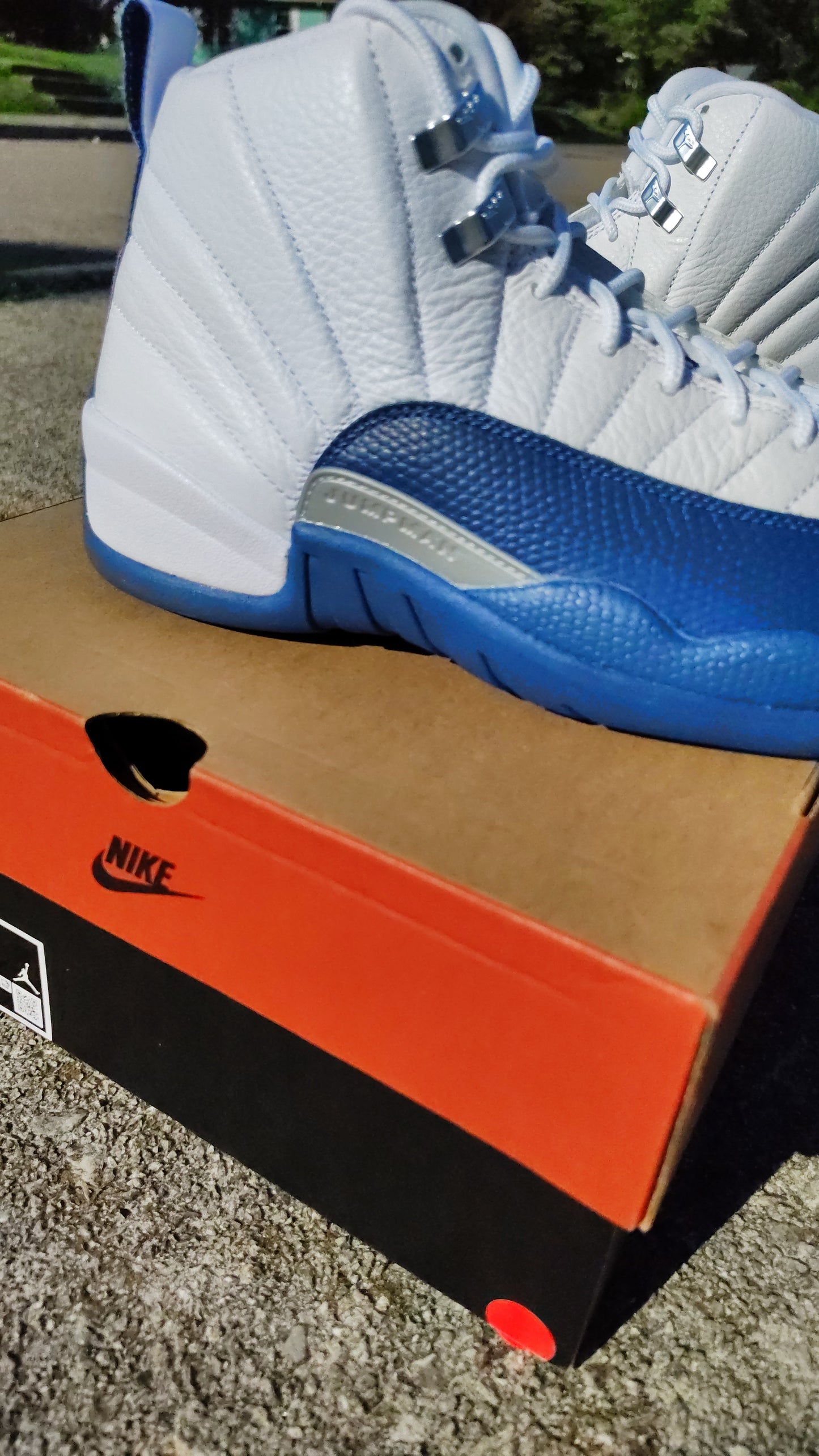 Jordan Retro 12 French blue