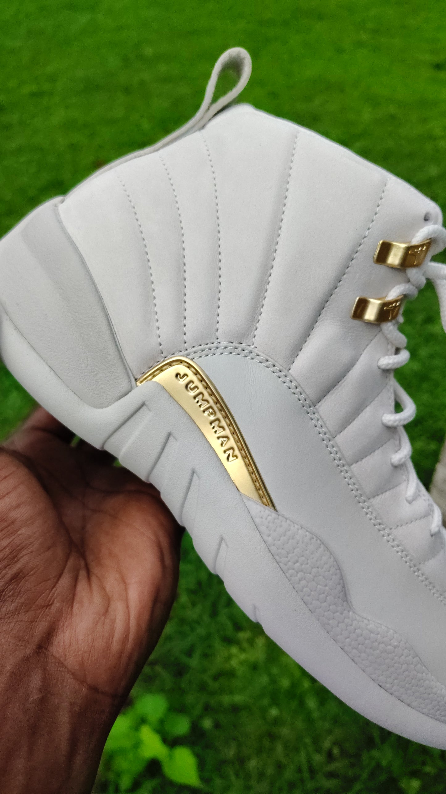 Jordan Retro 12 phantom