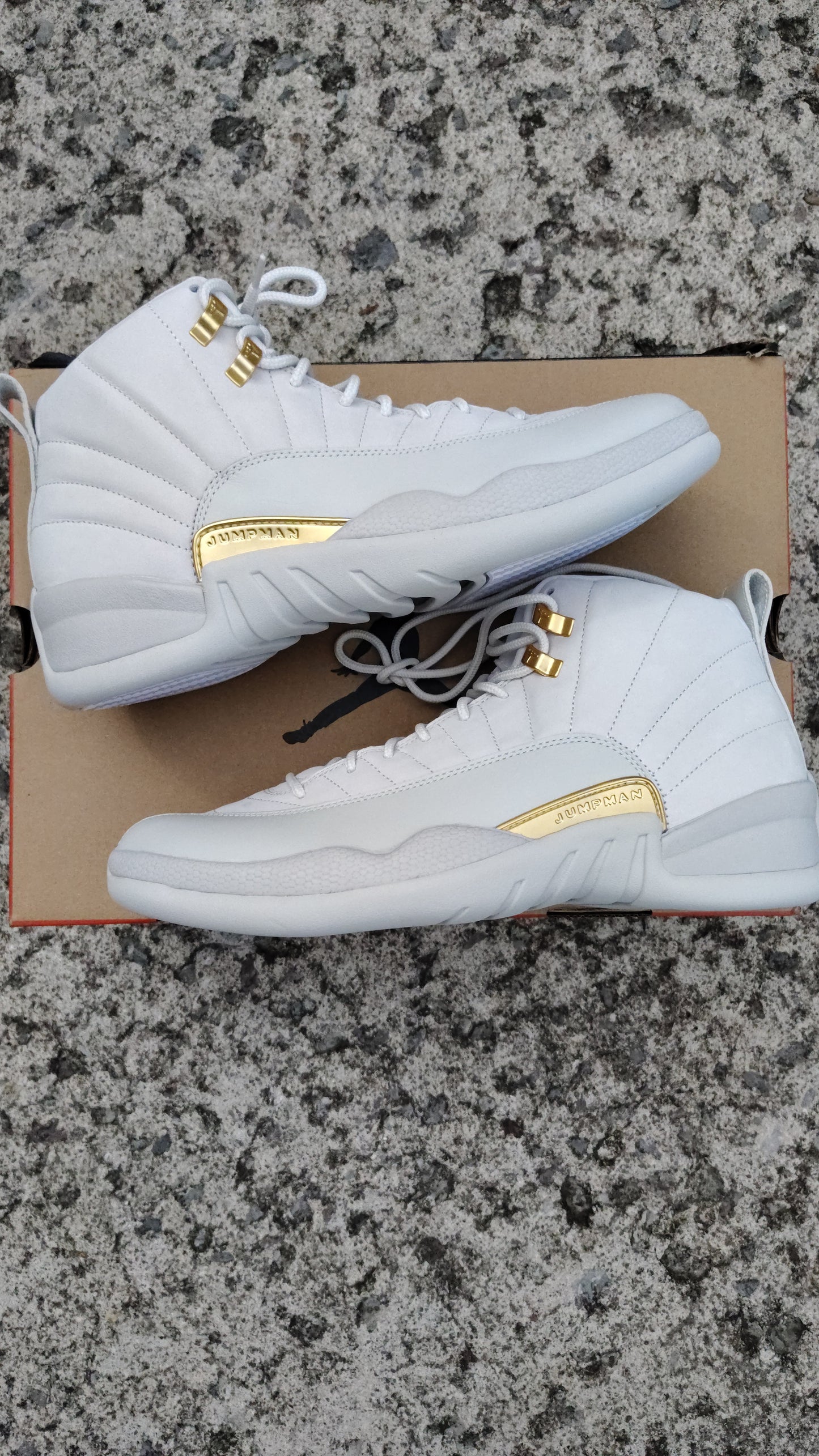 Jordan Retro 12 phantom