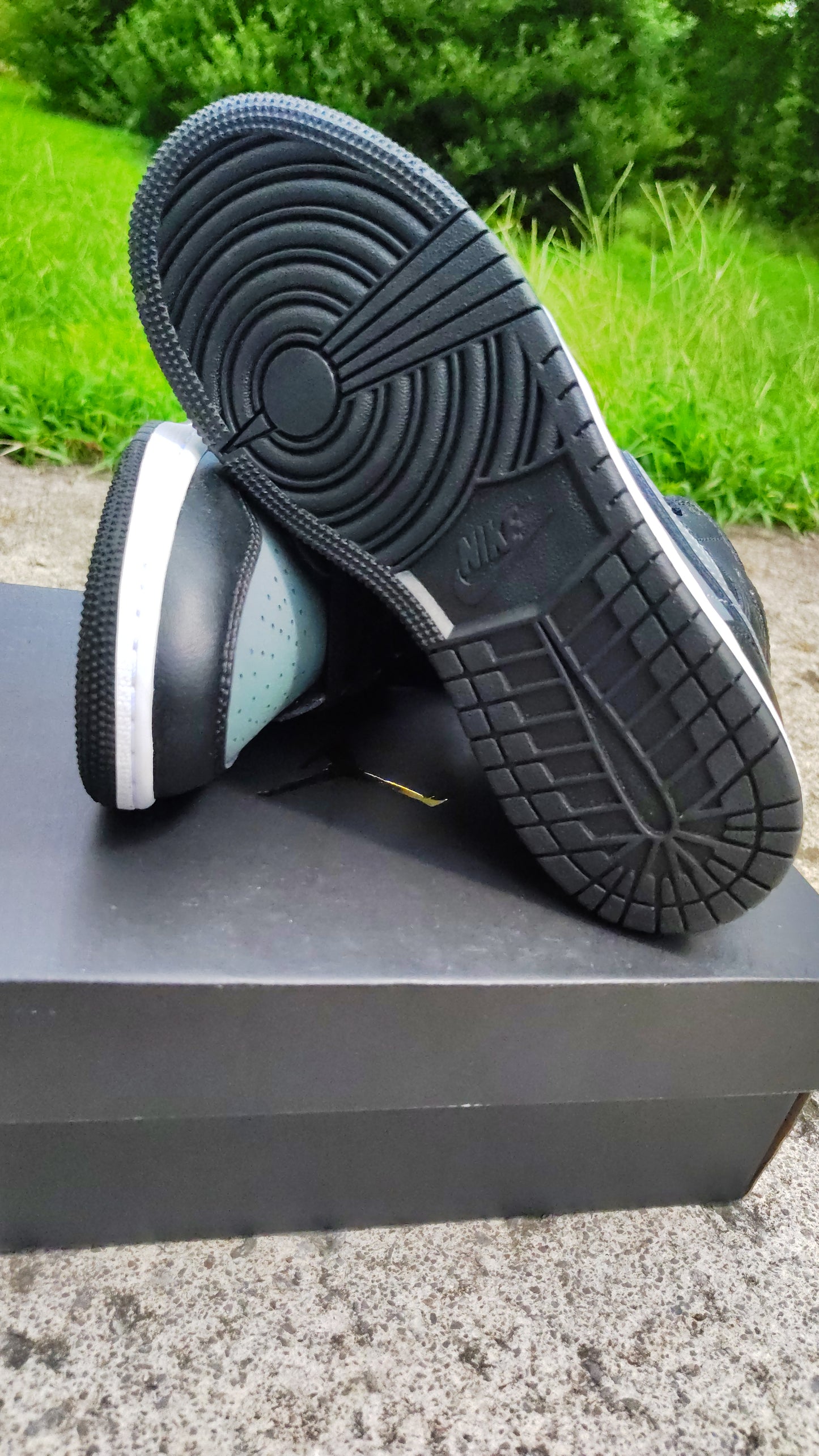Unreleased Jordan Retro 1 black iridescent