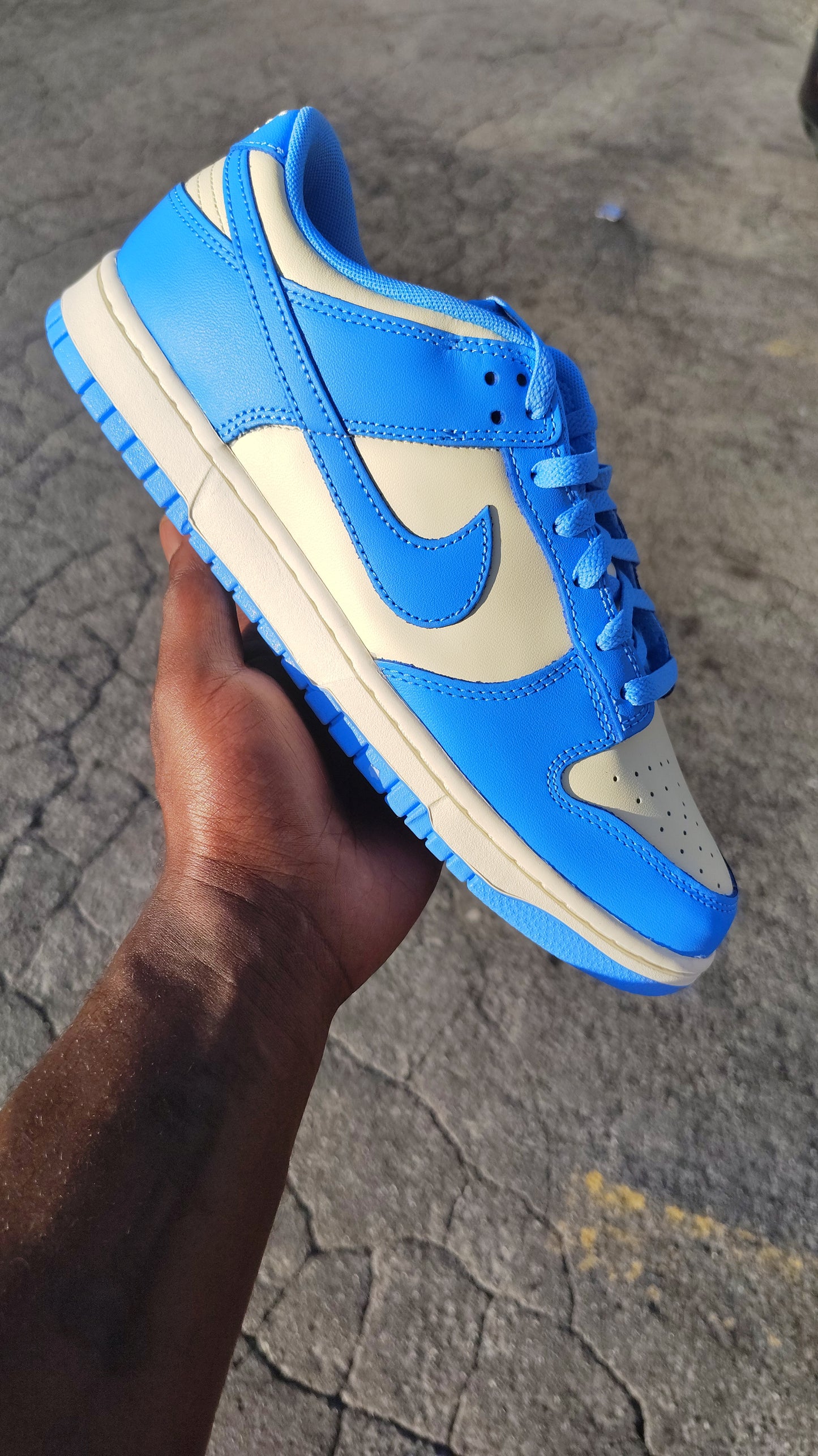 Nike Dunk low UNC