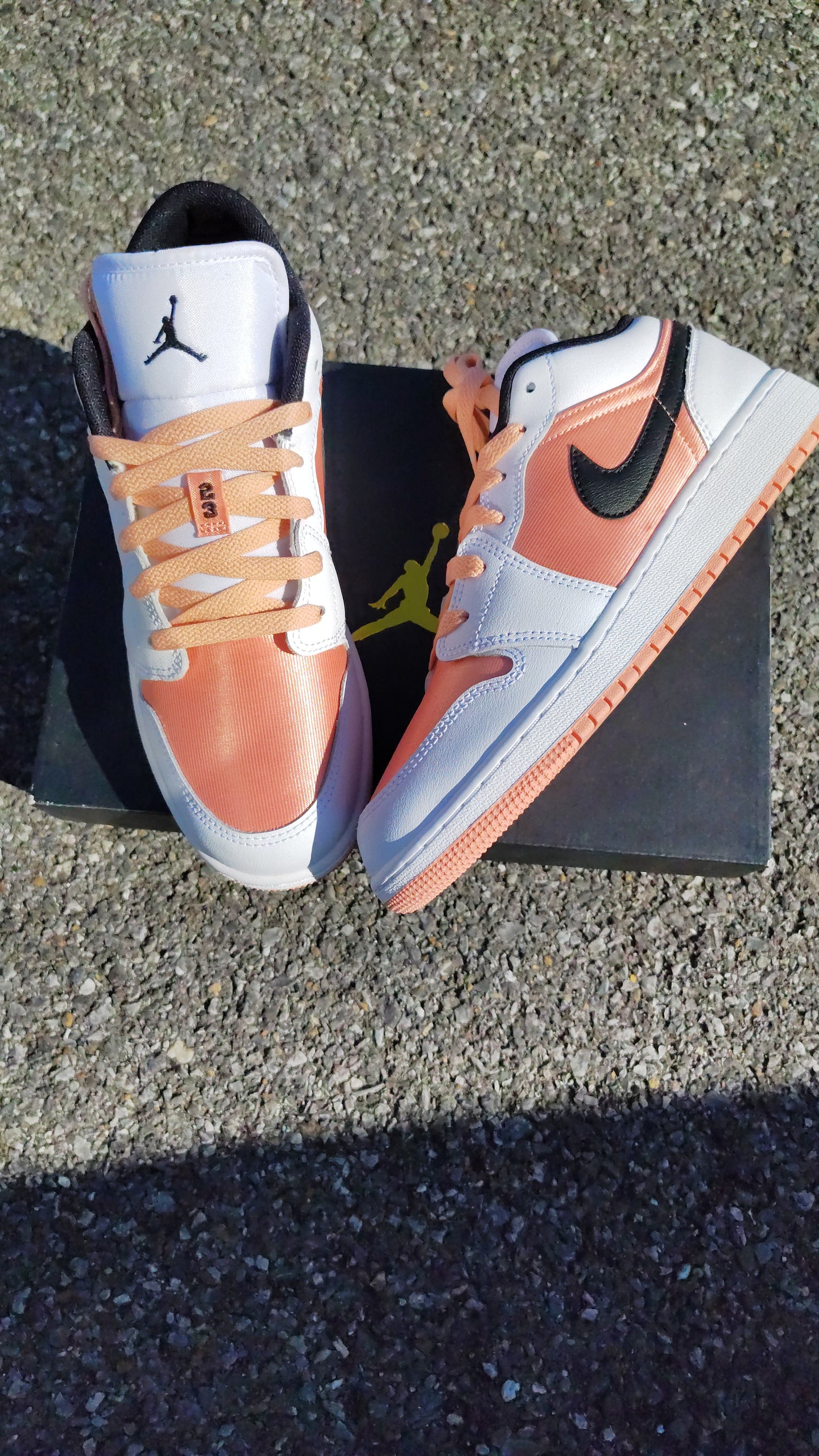 Jordan Retro 1 low (GS)