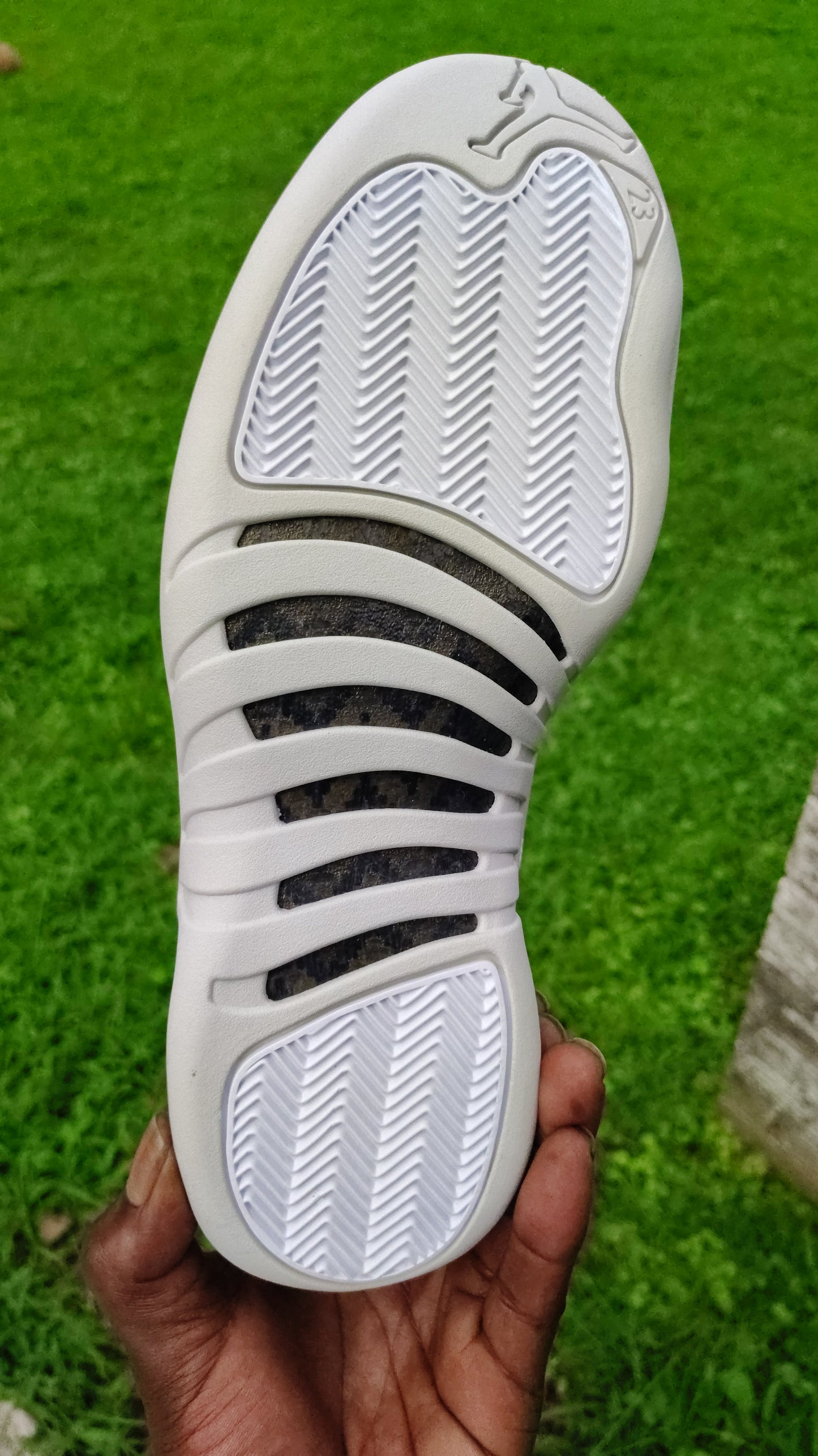 Jordan Retro 12 phantom