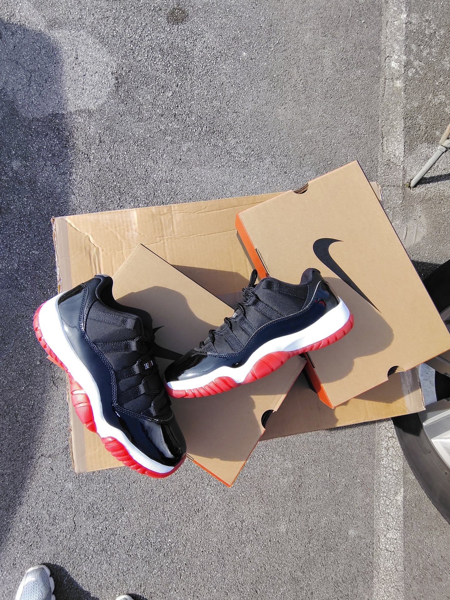 Jordan Retro 11 bred low