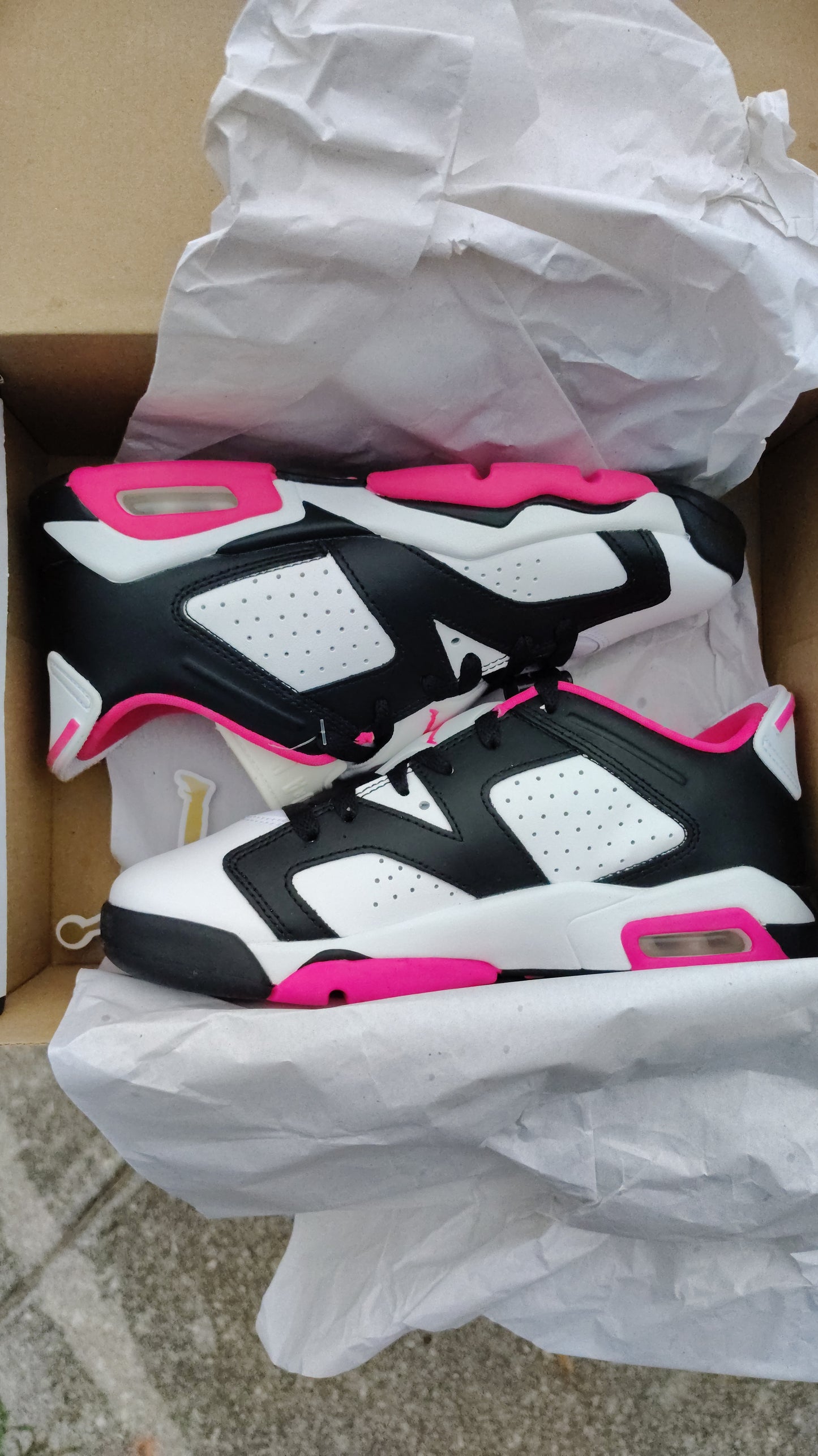Jordan Retro 6 low