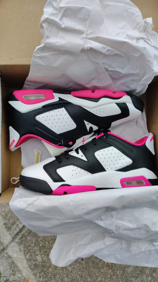 Jordan Retro 6 low