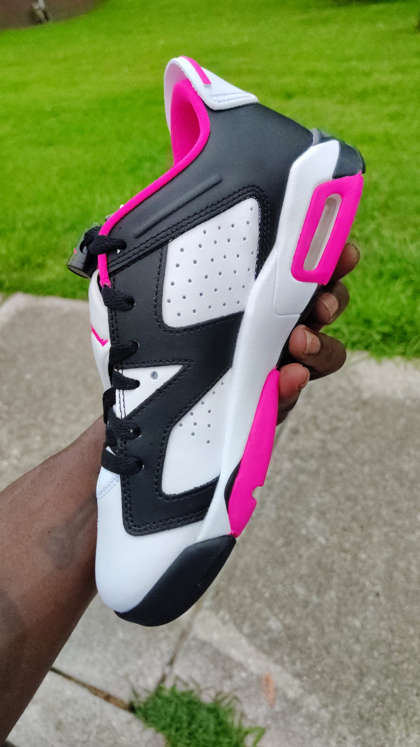 Jordan Retro 6 low