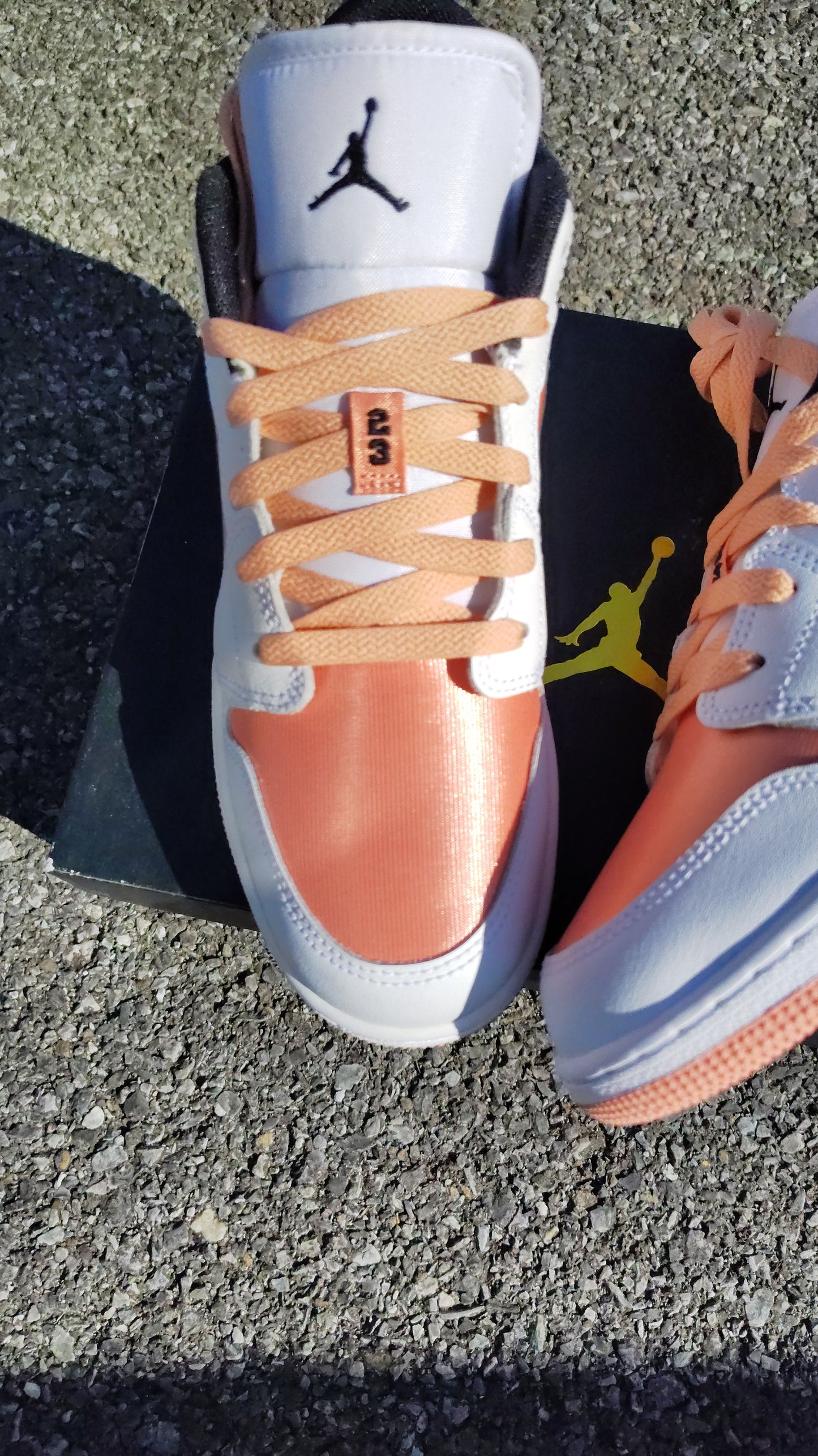 Jordan Retro 1 low (GS)