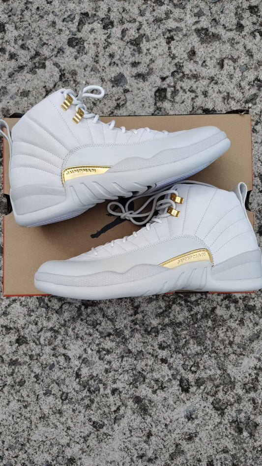 Jordan Retro 12 phantom