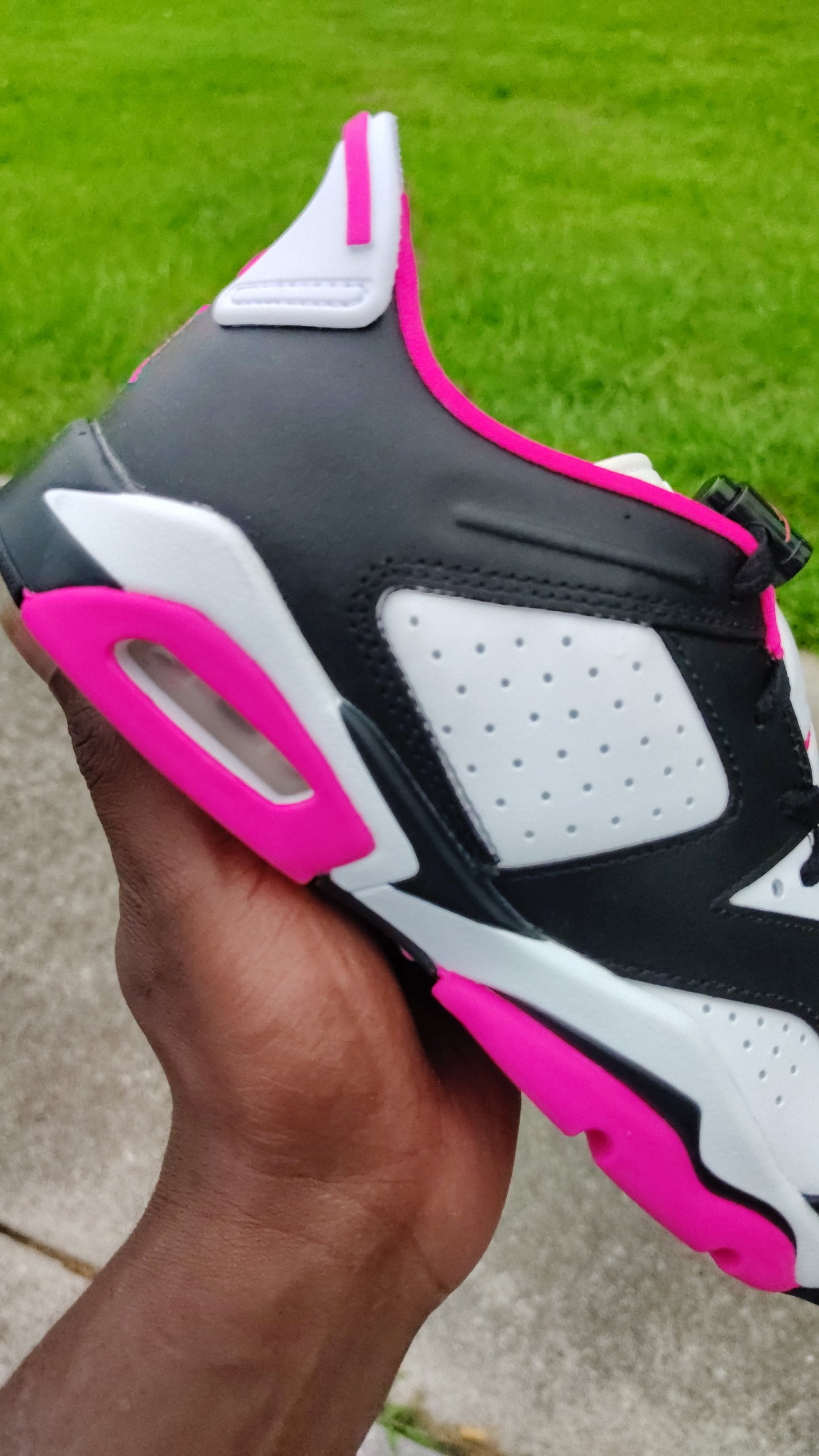 Jordan Retro 6 low