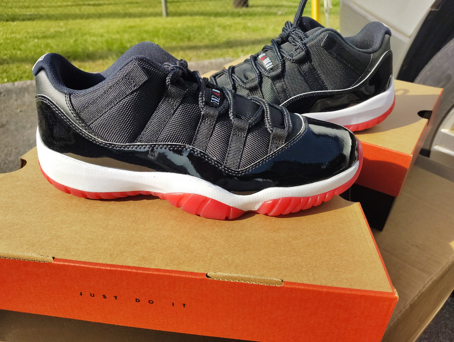 Jordan Retro 11 bred low
