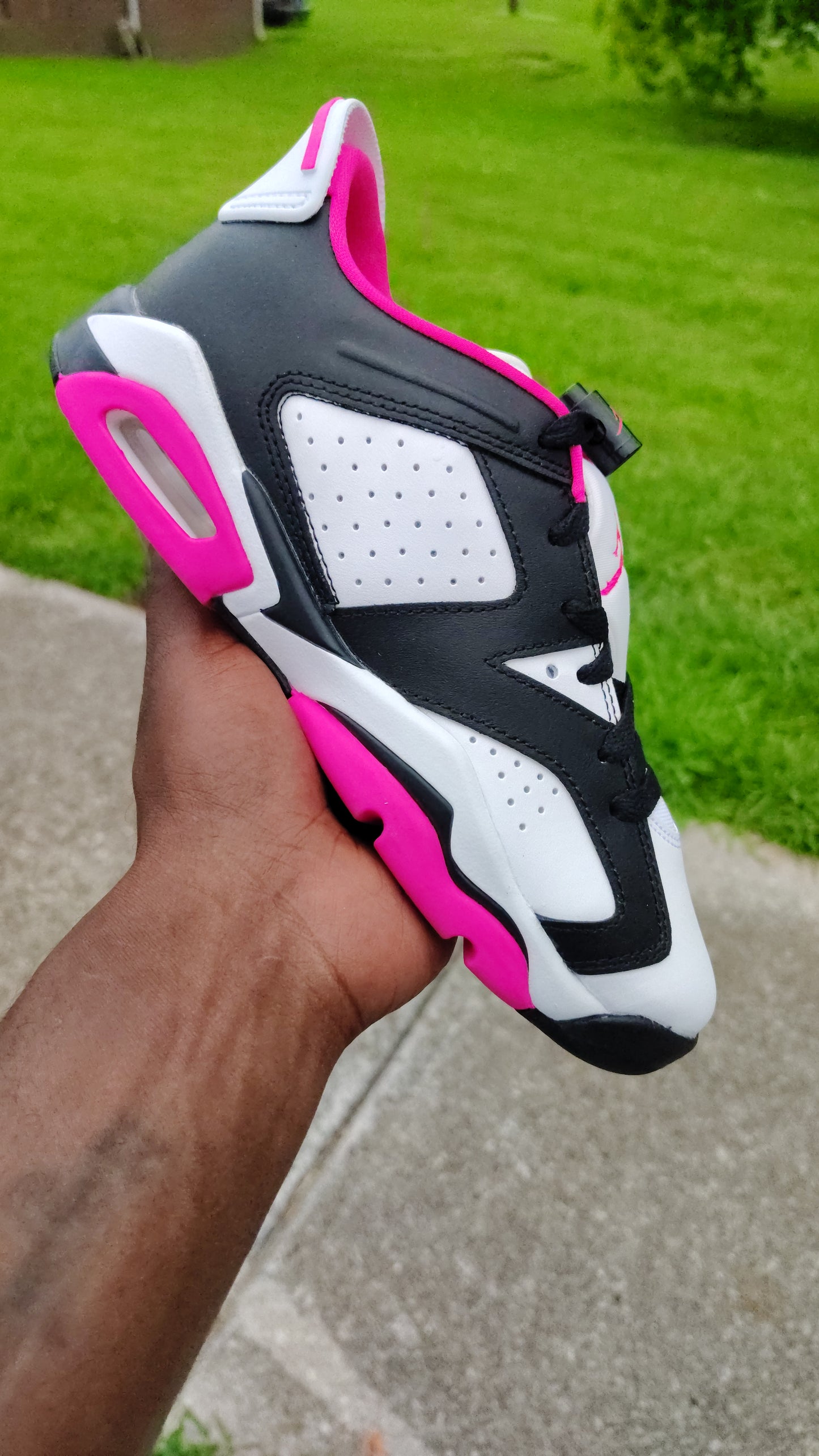 Jordan Retro 6 low