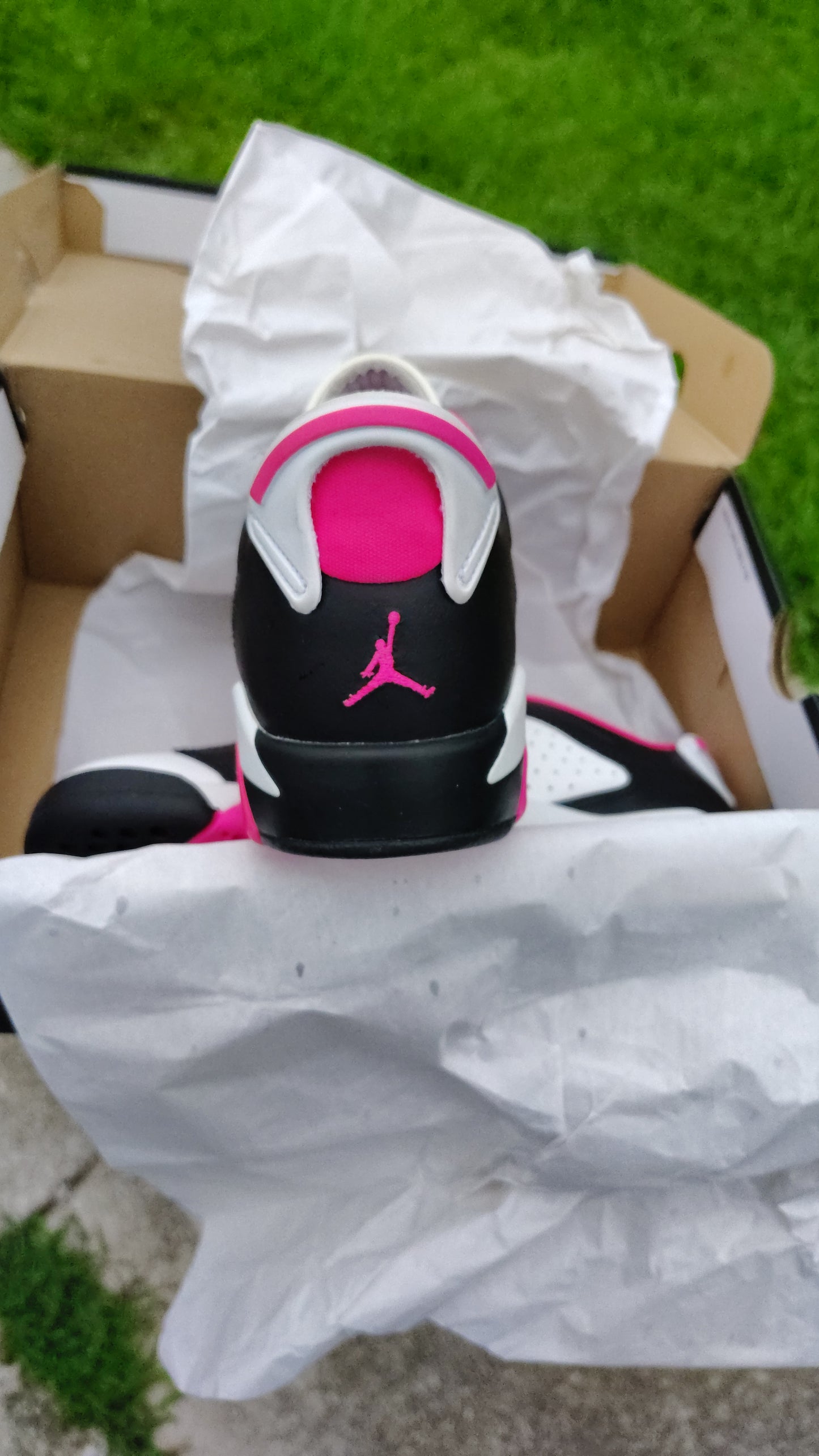 Jordan Retro 6 low